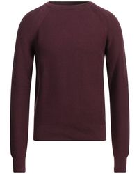 Dockers Sweater - Purple