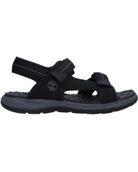 timberland flip flops mens