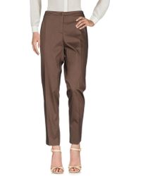 Martinelli Casual Trousers - Brown