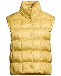 Paltò - Gilet - Lyst
