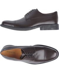 Geox Chaussures à lacets - Marron
