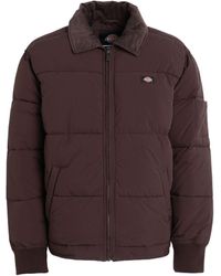 Dickies - Puffer - Lyst