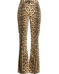 Roberto Cavalli - Jeans Cotton, Elastane - Lyst
