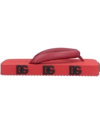 Dolce & Gabbana - Thong Sandal - Lyst
