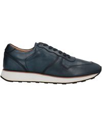hackett trainers