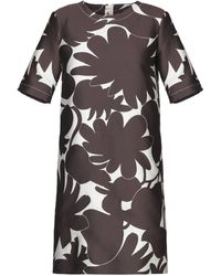 Marni Kurzes Kleid - Braun