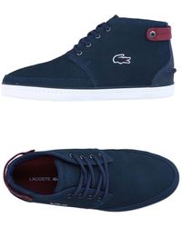 chaussures montantes lacoste