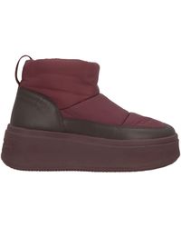 Ash - Ankle Boots - Lyst