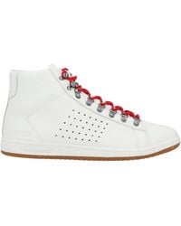 coq sportif montante