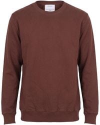 Crossley - Sweatshirt Cotton - Lyst