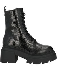 Steve Madden - Ankle Boots - Lyst
