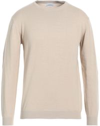 Sseinse - Sweater Cotton - Lyst