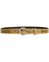 MAX&Co. - Belt - Lyst