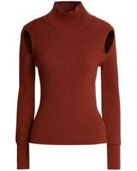 Anna Molinari - Rollkragenpullover - Lyst