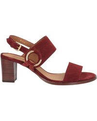 Anthology - Sandals Leather - Lyst