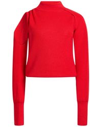 Roberto Collina - Turtleneck Merino Wool - Lyst