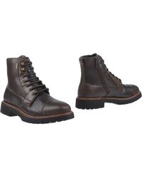 Geox Stiefelette - Braun