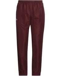 Lacoste - Burgundy Pants Polyester - Lyst