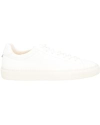 Doucal's - Jessie Sneakers Leather - Lyst