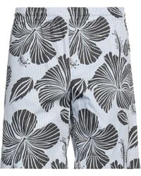 MSGM - Shorts & Bermuda Shorts - Lyst