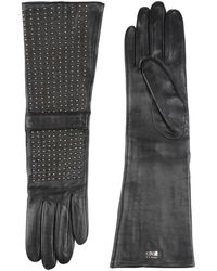 Class Roberto Cavalli Gloves - Black