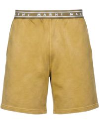 Marni - Shorts & Bermuda Shorts Cotton - Lyst