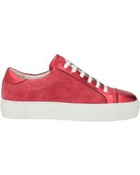 Cerruti 1881 - Sneakers Calfskin - Lyst