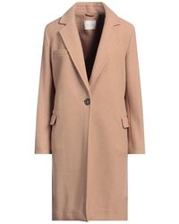 Circolo 1901 - Camel Coat Virgin Wool - Lyst