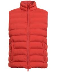 Paltò - Gilet - Lyst