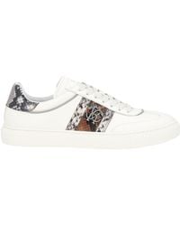 Roberto Cavalli - Trainers - Lyst