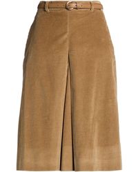 Max Mara - Shorts & Bermuda Shorts Cotton - Lyst