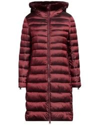 Caractere - Pufferjacke & Daunenjacke - Lyst