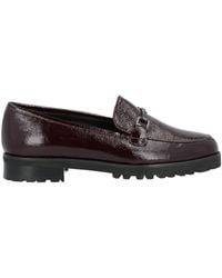 Cerruti 1881 - Mokassin - Lyst