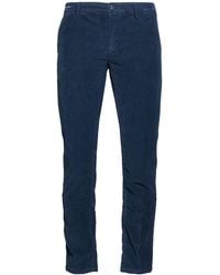Teleria Zed - Pants Cotton, Lycra - Lyst