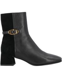 Coccinelle - Ankle Boots - Lyst