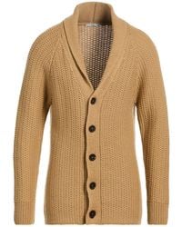 Circolo 1901 - Camel Cardigan Virgin Wool - Lyst