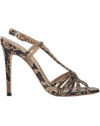 Twinset - Sandalias - Lyst