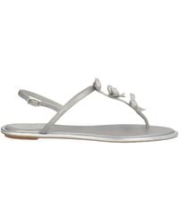 Rene Caovilla - Thong Sandal - Lyst