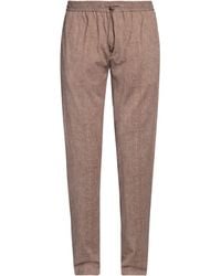 Circolo 1901 - Camel Pants Cotton, Elastane - Lyst