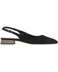 chaussure attilio giusti leombruni homme