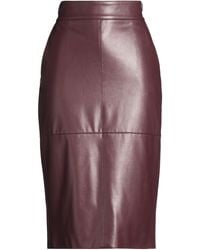 Elisabetta Franchi - Midi Skirt - Lyst