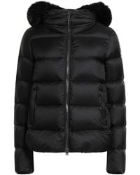 Colmar - Pufferjacke & Daunenjacke - Lyst