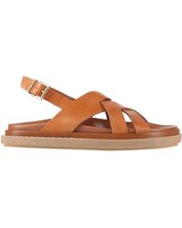 Alohas - Sandals - Lyst