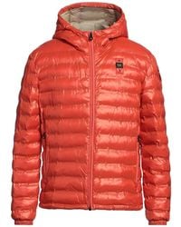 Blauer - Puffer - Lyst