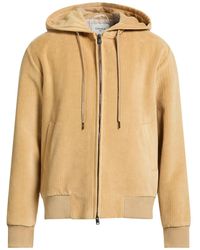 Circolo 1901 - Jacket - Lyst