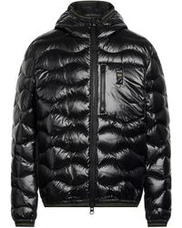 Blauer - Puffer - Lyst