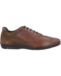 geox leather shoes