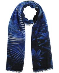 Roberto Cavalli Scarves and mufflers for Women | Online Sale up to 70% off  | Lyst