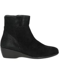 Melluso - Ankle Boots Leather - Lyst