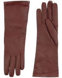Saint Laurent Gloves - Brown